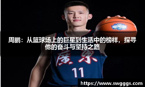 星空·综合体育官方网站