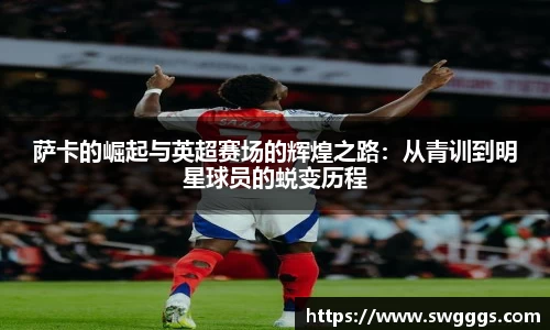 星空·综合体育